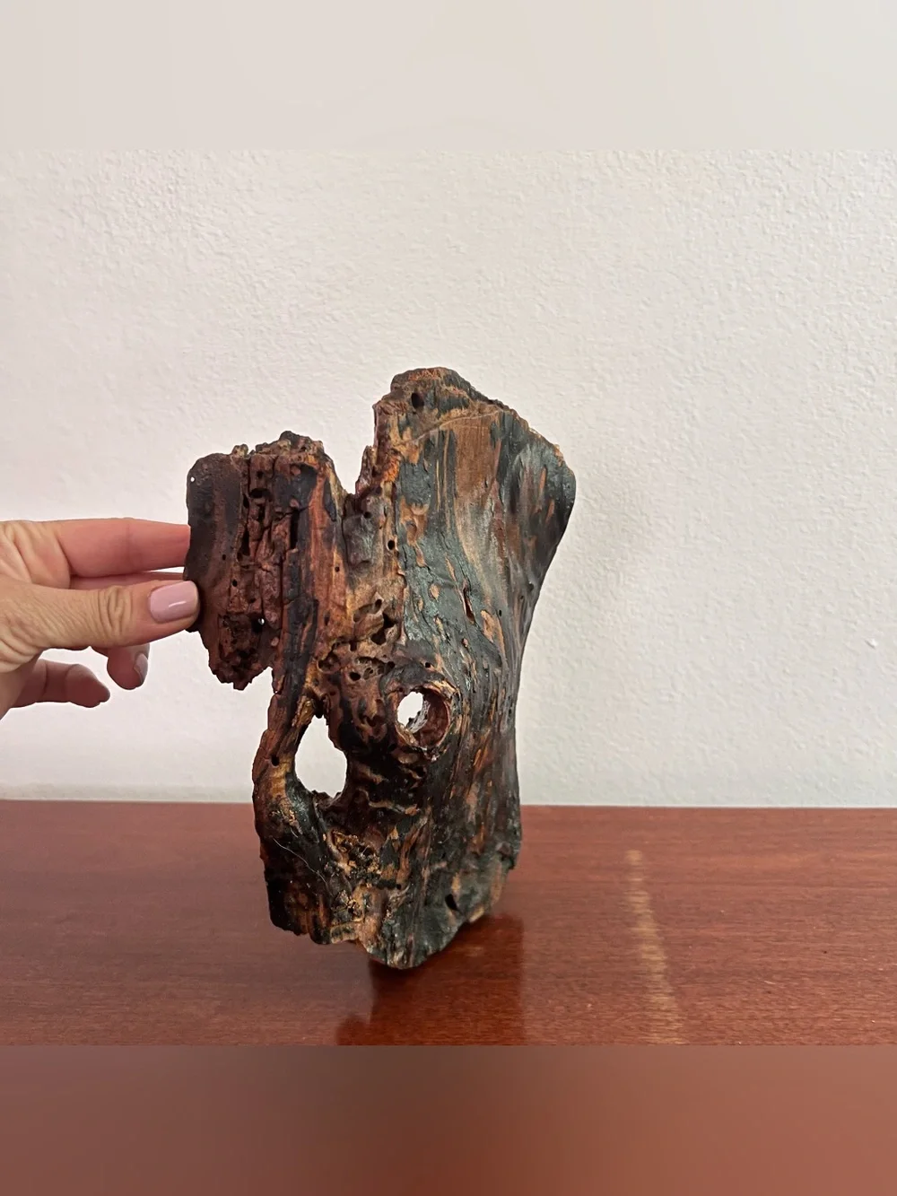 Natural Driftwood Hide for Reptile & Invertebrate Terrariums
